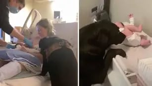 Perro acompañó a su dueña al parto