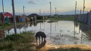 Preocupación: El regreso de agua a puntos que estaban secos en el Río Mendoza inundó casas familiares en Maipú. Foto: Gentileza vecinos barrio Rincón de los Álamos
