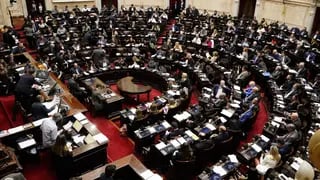 Debate de la Ley Bases en la Cámara de Diputados