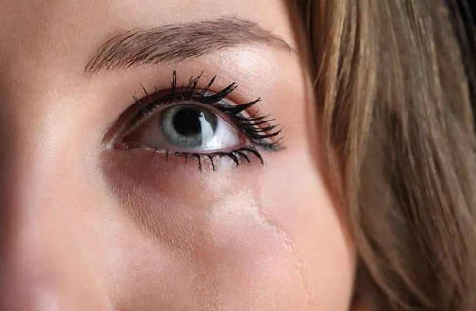 Alergia ocular: una problemática recurrente y frecuente 