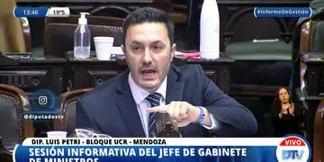 Luis Petri Sesión Diputados Santiago Cafiero