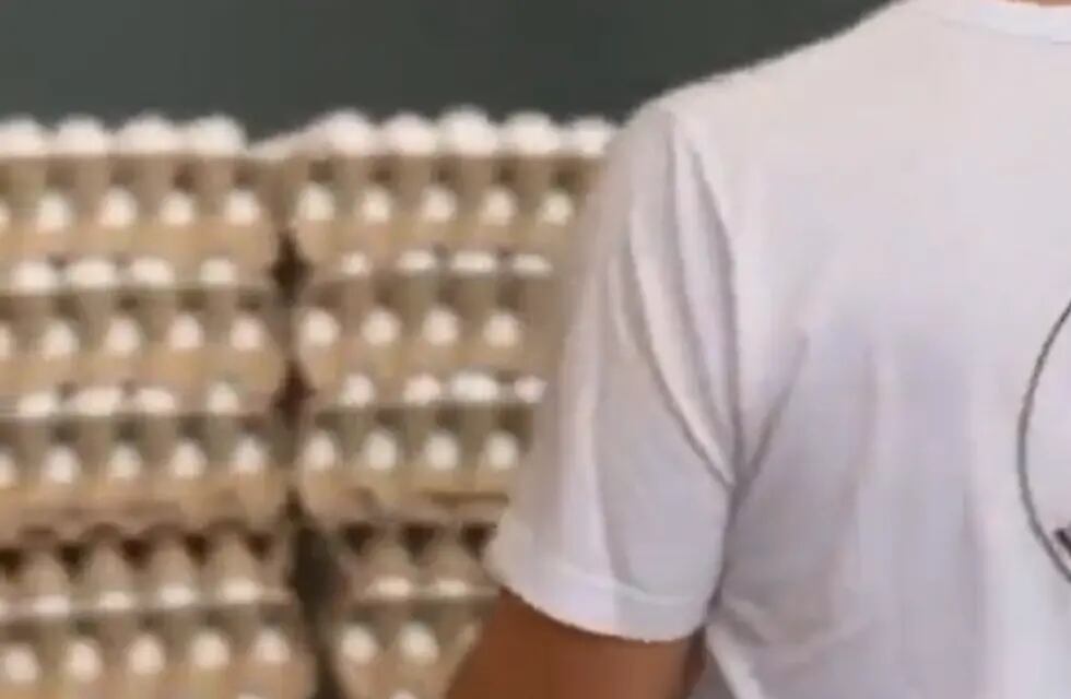Aunque las pruebas por gripe aviar dieron negativo, el Senasa ordenó destruir 360.000 huevos y estalló la bronca. Foto: Captura Video.