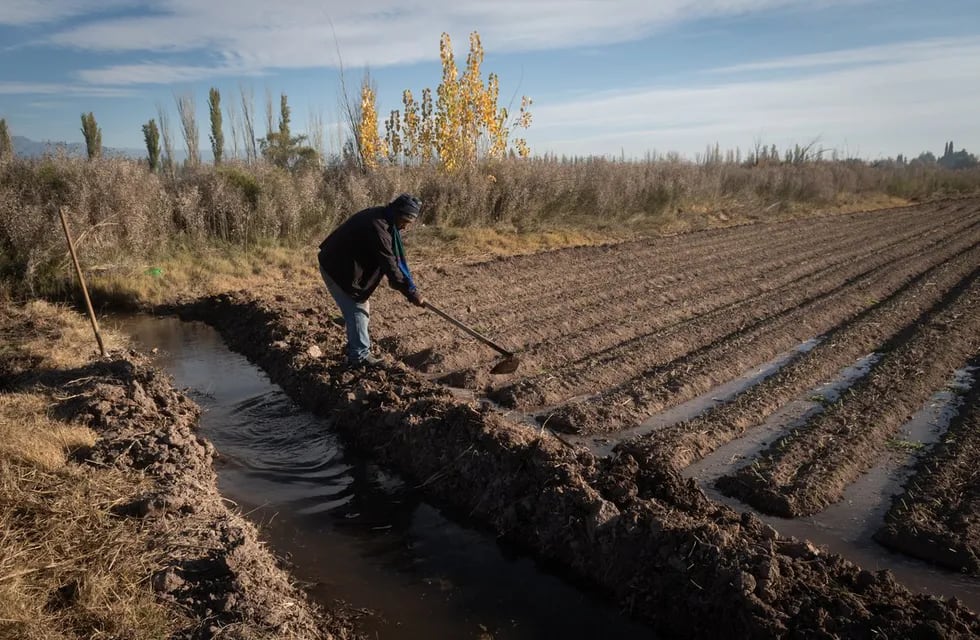Las soluciones contra la precariedad laboral van desde más controles hasta una mayor conciencia ciudadana. Foto: Ignacio Blanco / Los Andes