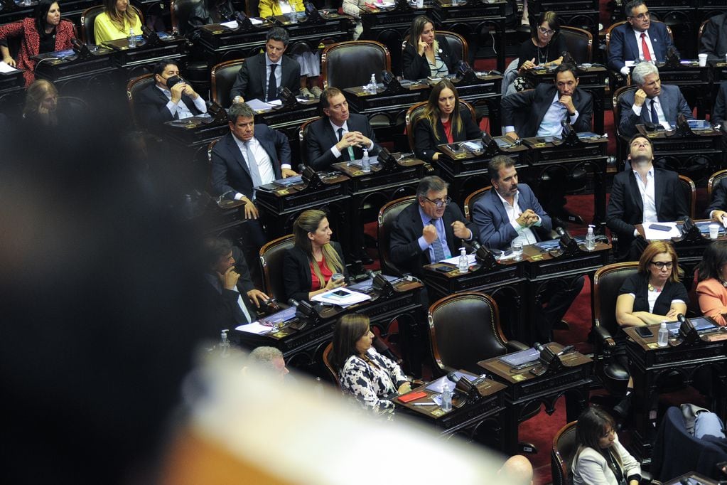 Sesión en la cámara de Diputados para tratar el acuerdo con el FMI. Foto: Federico Lopez Claro