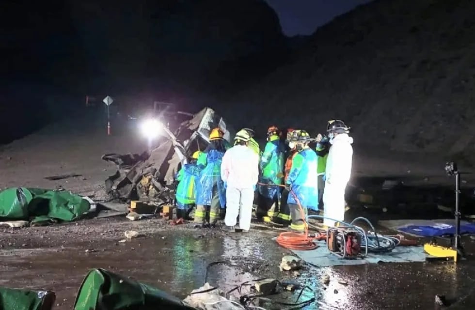 Camionero argentino volcó y murió en los Caracoles de Chile (Gentileza / Los Andes Online)