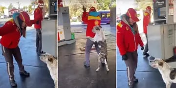 Bigotes es un perro que se divierte con las chicas que trabajan en una estación de servicio de Mendoza