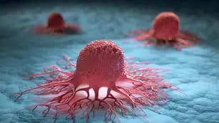 Investigación sobre células cancerosas