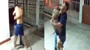 perrito perdido vuelve a su casa en Colombia