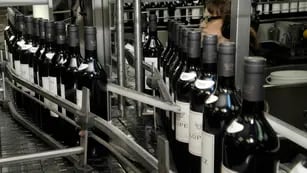 Las exportaciones de vino fraccionado volvieron a crecer