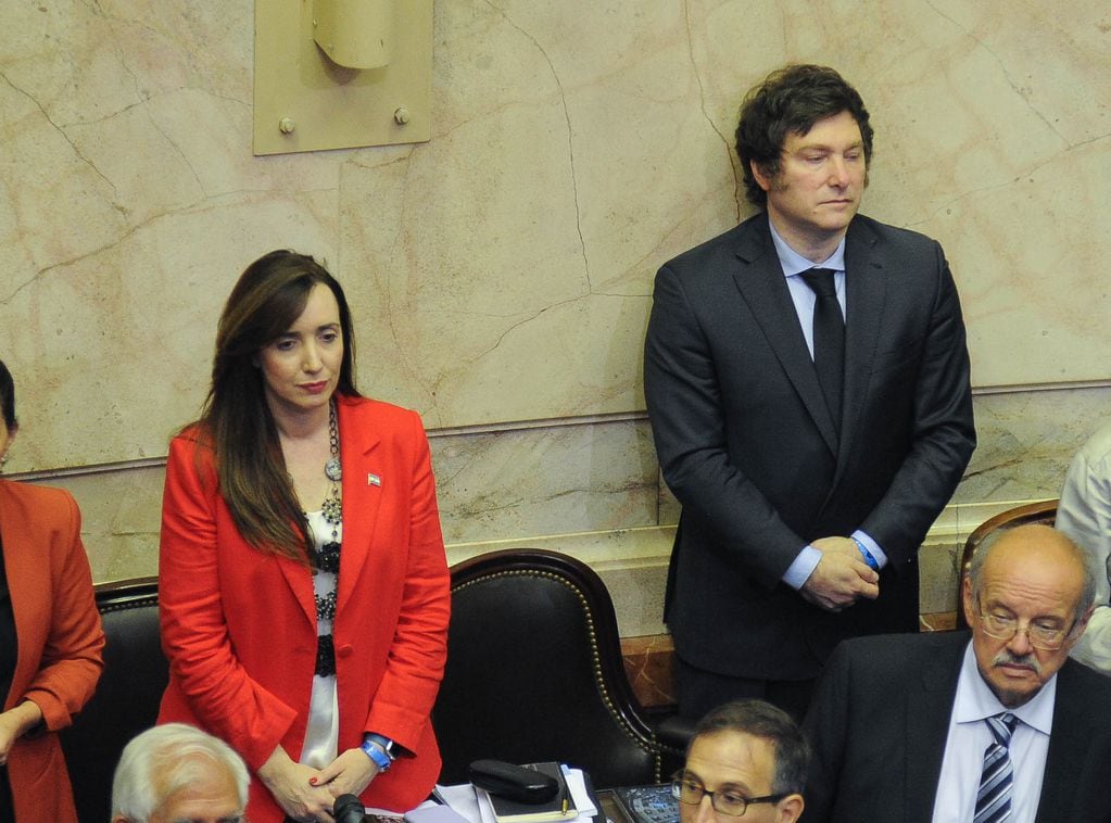 Victoria Villarruel y Javier Milei en la Cámara de Diputados . Foto Federico López Claro