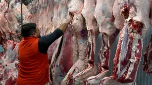Exportación de carnes
