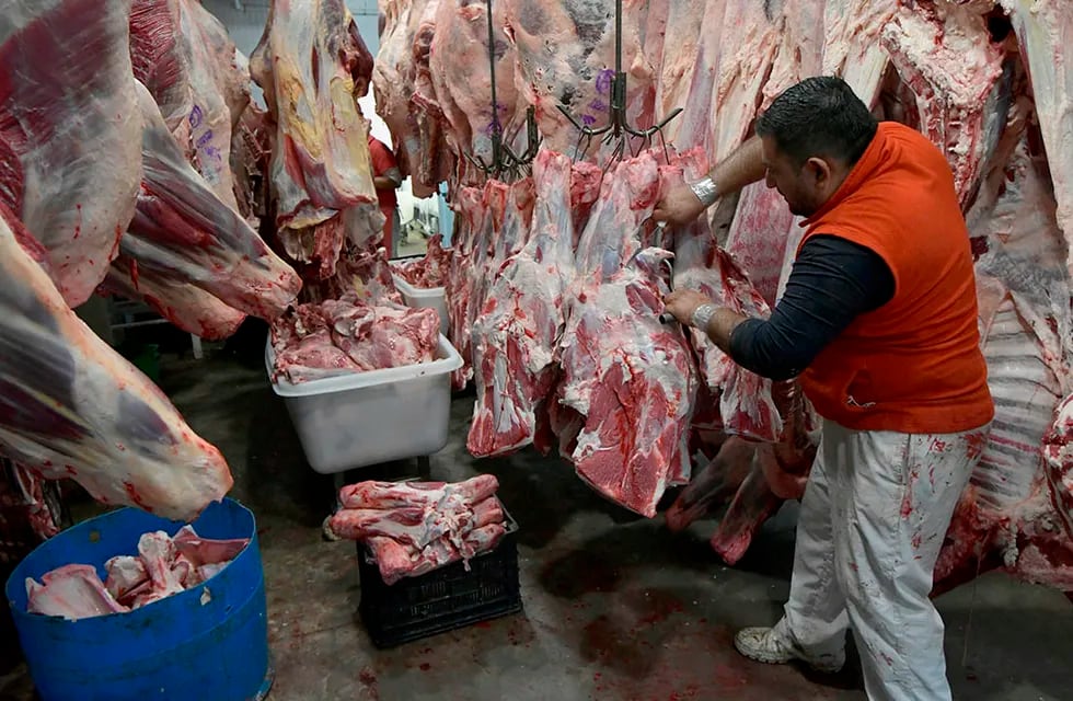 La producción de carne genera más de 400 mil empleos. - Archivo / Los Andes