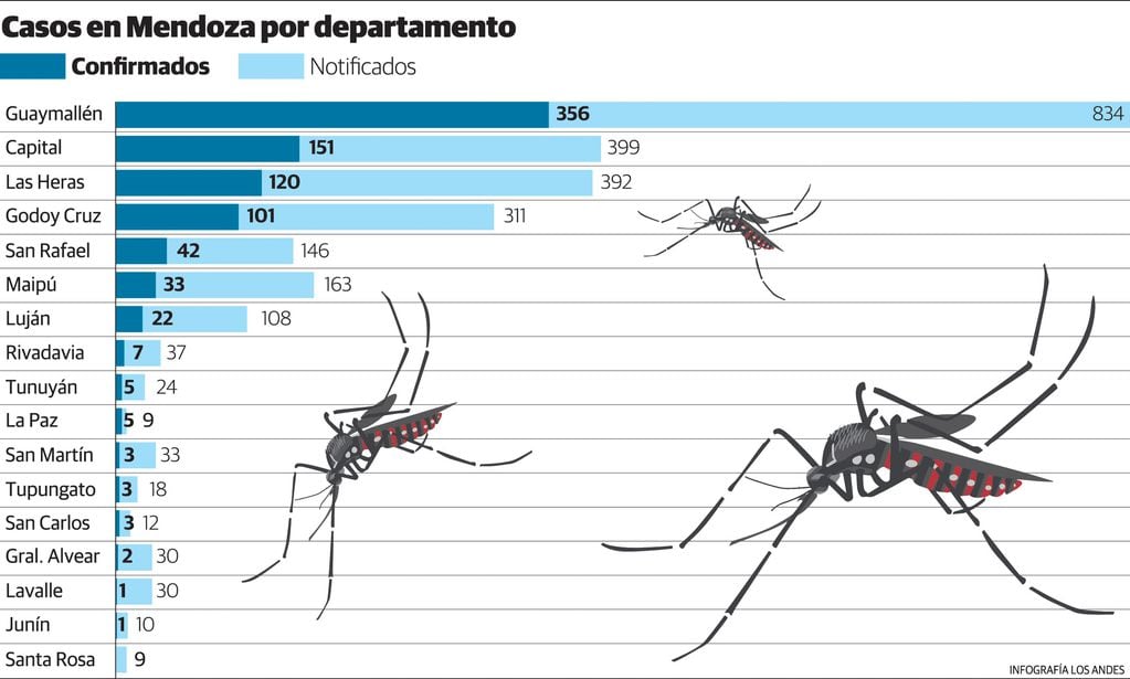Casos de dengue en Mendoza. Gustavo Guevara.