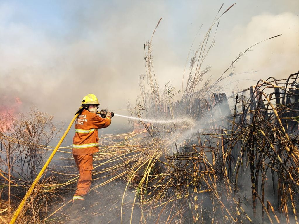 El predominante Viento Sur complicó el labor de los bomberos.  Foto: Claudio Gutiérrez / Los Andes