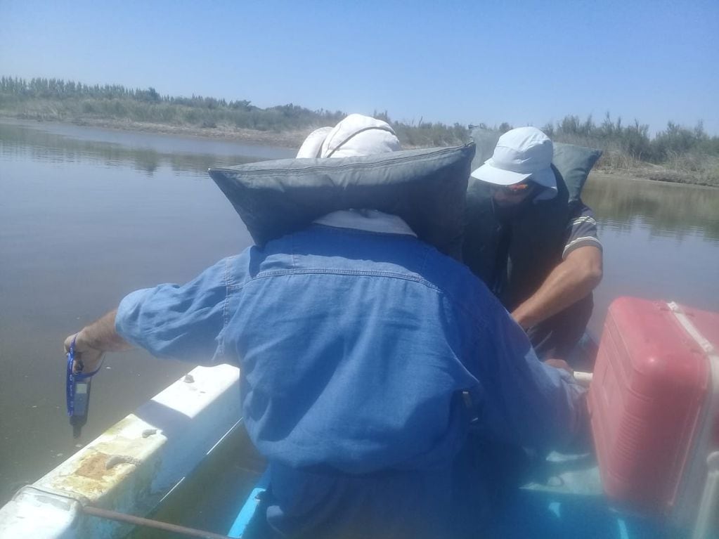 Ahora Irrigación intentará determinar si hay algas tóxicas en la laguna, que integra el sistema de humedales Laguna de Guanacache.