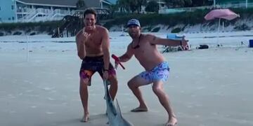 Polémica por el vídeo viral de dos bañistas que arrastran y apuñalan a un pequeño tiburón varado en la playa