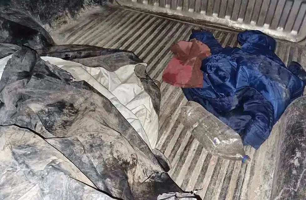 El cómplice dejó los cuerpos en la caja de una camioneta. Foto: Gentileza La Brújula 24.