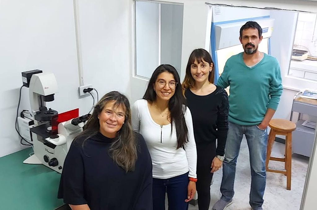 Imagen del equipo de trabajo liderado por Teresa Damiani y compuesto por Mariángeles Ávila Maniero, Romina Russi, Diego Sánchez y Antonela Losinno.