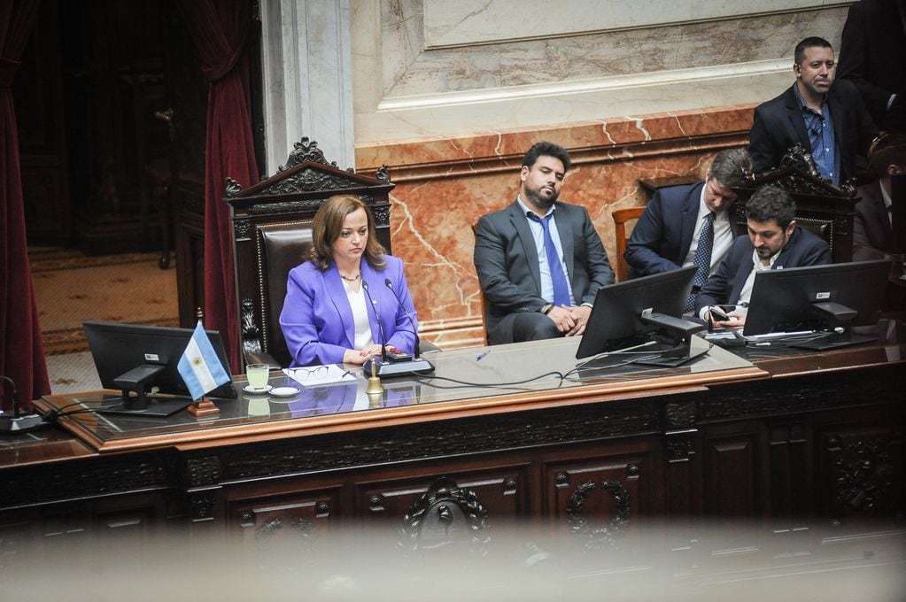 Cecilia Moreau, presidenta de la Cámara de Diputados. Foto: Federico Lopez Claro