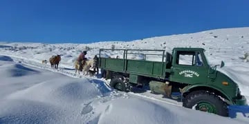 Asistieron a familias que habían quedado aisladas por las intensas nevadas en el Sur de Mendoza