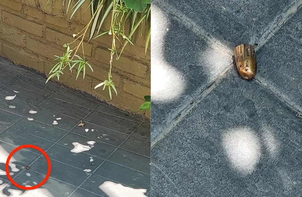 Una vecina de Godoy Cruz encontró una bala en el patio de su casa, tras regresar de los festejos de Navidad. Foto: Facebook.