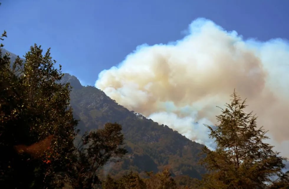 Incendios causan desastre ecológico en el sur de Chile