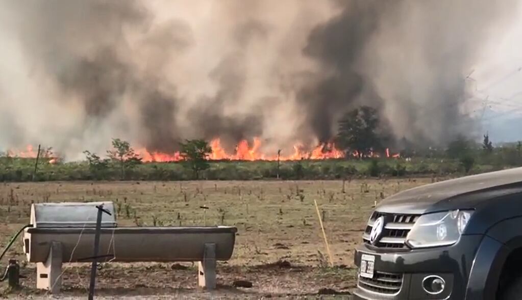 Videos: Así fue el incendio que dejó sin electricidad a más de 20 millones de argentinos. Foto: Captura Video.