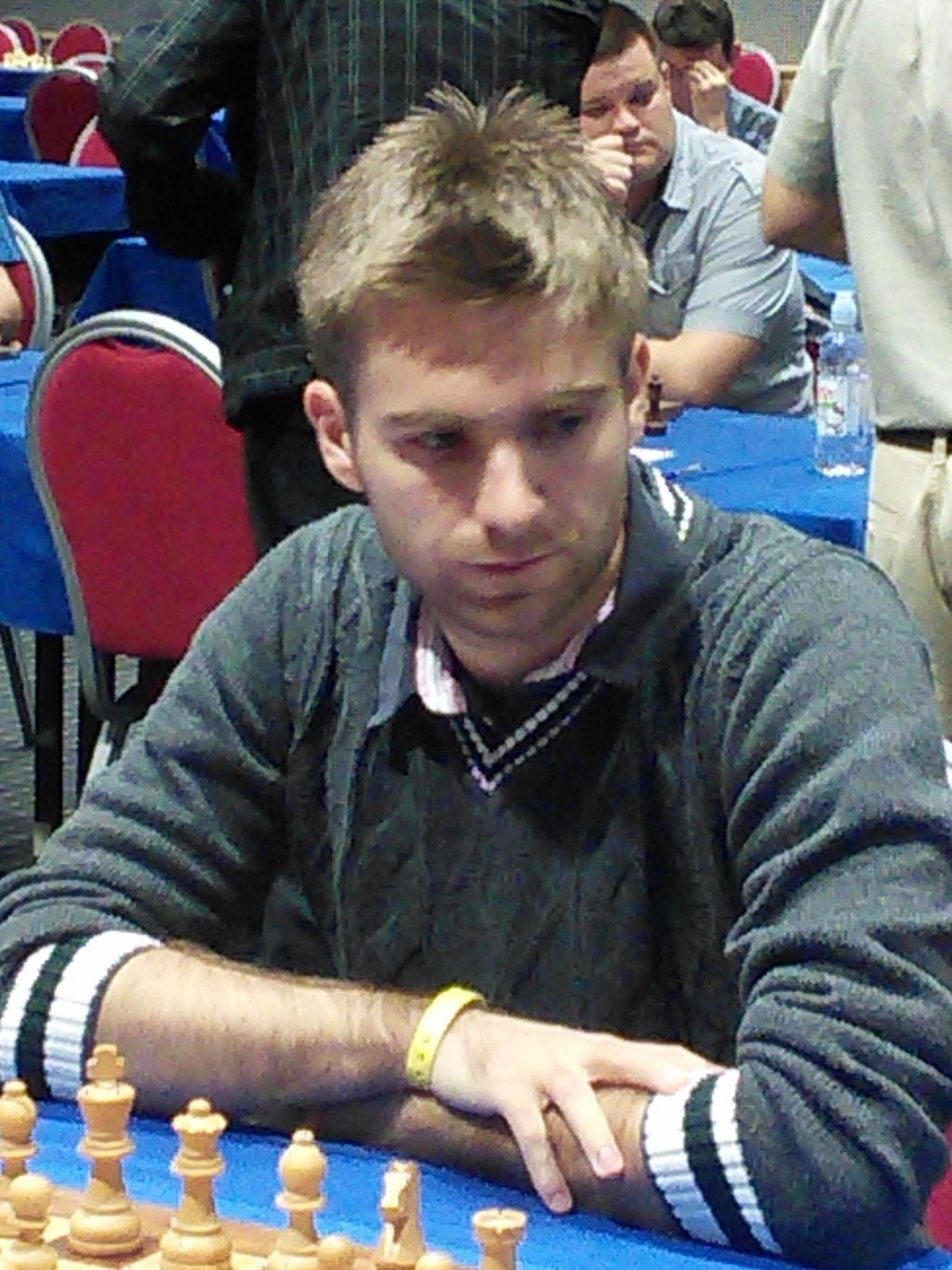Davorin Kuljasevic es un gran maestro internacional de Ajedrez