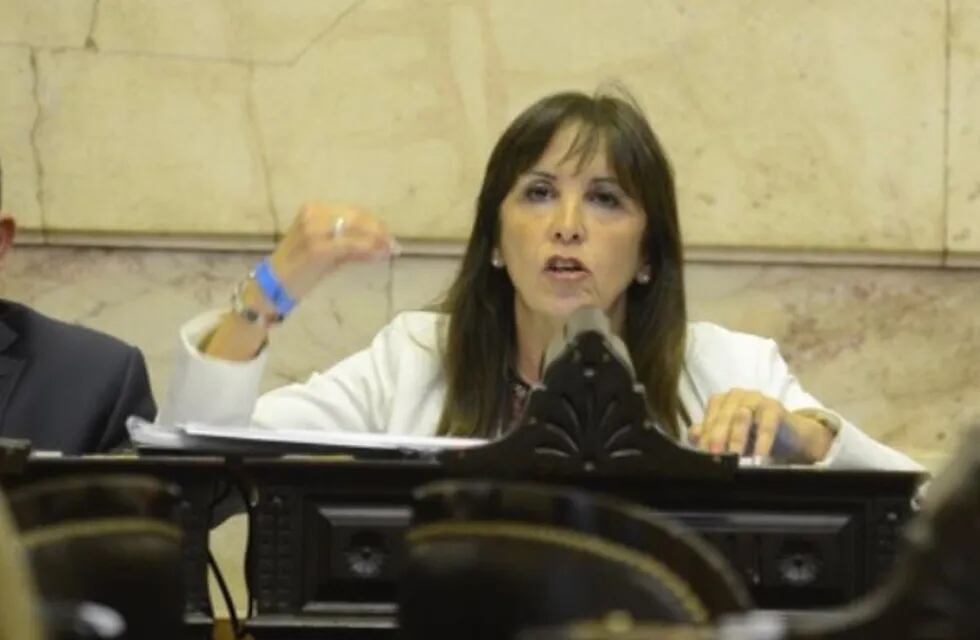 Susana Laciar optó por la negativa como todo Juntos por el Cambio. El otro legislador sanjuanino de ese espacio, Marcelo Orrego, no estuvo en el recinto al momento de la votación.