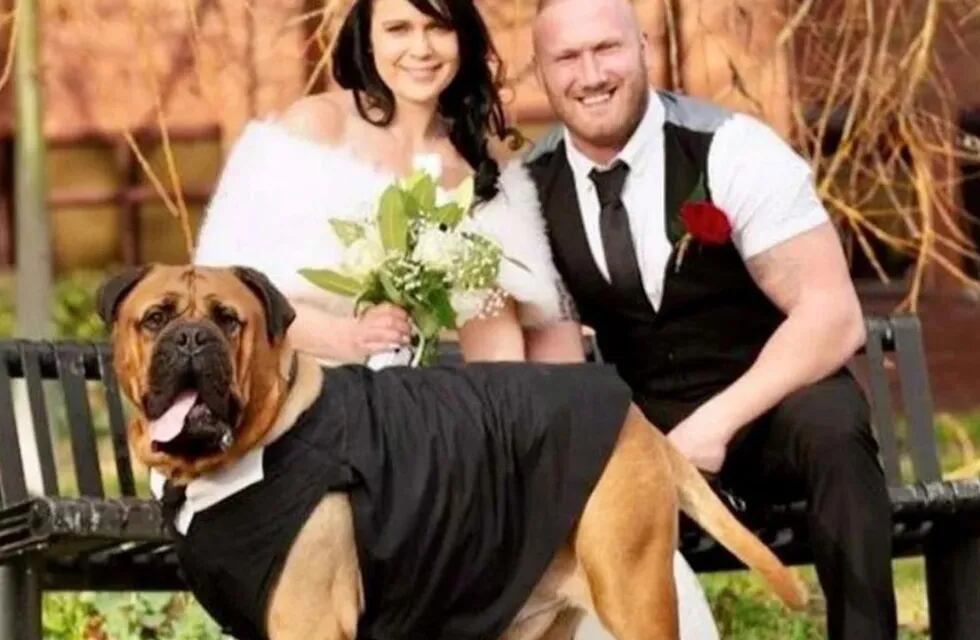 Una pareja adelantó su boda para que su perrito con cáncer terminal pudiera estar en la ceremonia.