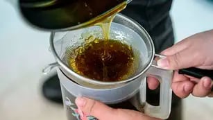 Apuntan a una “miel de manuka” mendocina