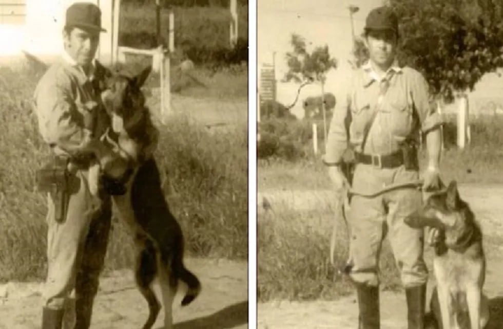 La conmovedora historia de Chonino, el can que dio origen al Día del Perro en Argentina 