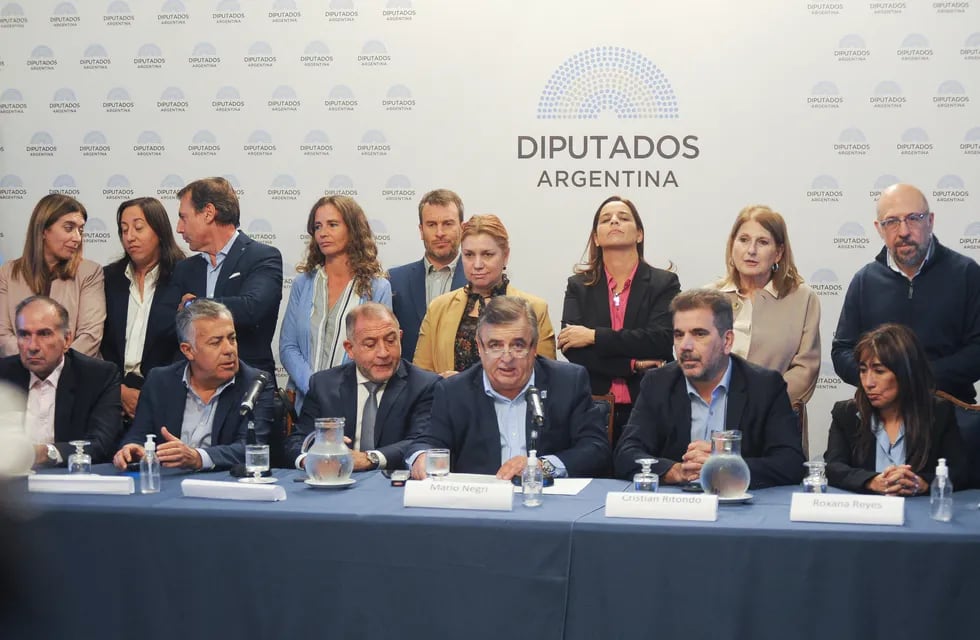 Diputados de Juntos por el Cambio cuestionaron los cambios en el gabinete de Alberto Fernández - Foto Federico Lopez Claro