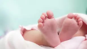Separaron a 11 bebés de sus padrés por “riesgo de vida”: detectaron cocaína en los cuerpos de los pequeños