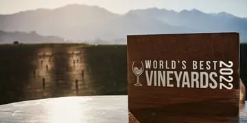World’s Best Vineyards