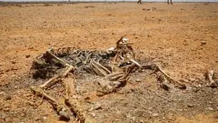 Somalía sequía