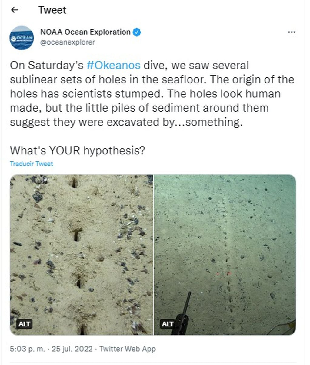Científicos estadounidenses descubrieron unos sospechosos agujeros en el fondo del océano Atlántico y piden ayuda a la comunidad para saber qué es.