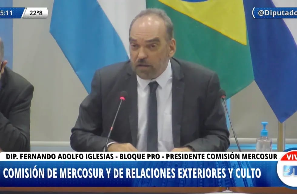 Diputados conmemora los 30 años de la creación del Mercosur.