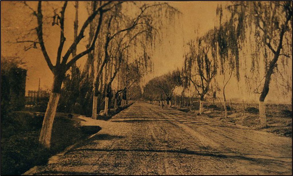 Camino a Lavalle reconstruido en 1923. Fuente: Suárez, Leopoldo. 1924.
