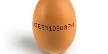 Huevos etiquetados