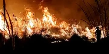 Incendio forestal en Luján