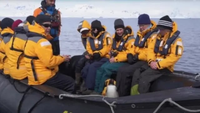 Pingüino saltó a un bote de turistas