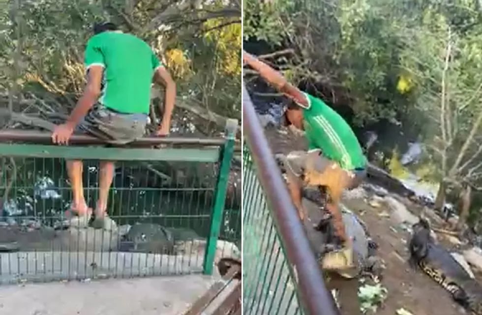 Se metió a una laguna en Tampico (México) y pateó a los cocodrilos (Captura de video)