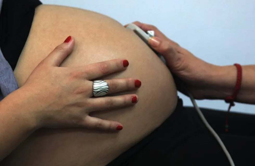 El Gobierno envió al Congreso otra iniciativa para crear el Plan de los Mil Días, con el que el Estado acompañará a las embarazadas.