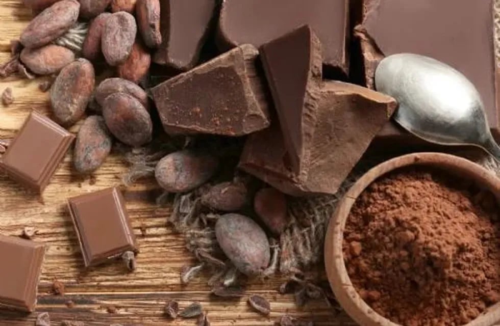 El chocolate es rico en componentes antioxidantes, como polifenoles y flavonoides.