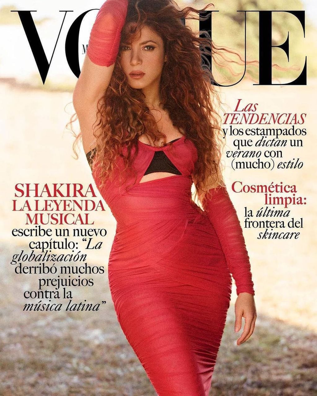 Shakira enamora con sus poses en las redes sociales