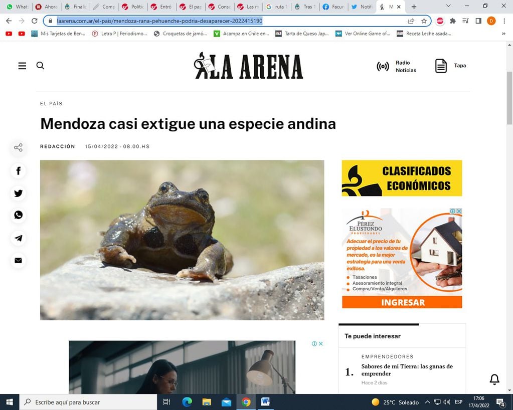 para el diario La Arena La Pamps, el fin de la rana Pehuenche es culpa de Mendoza