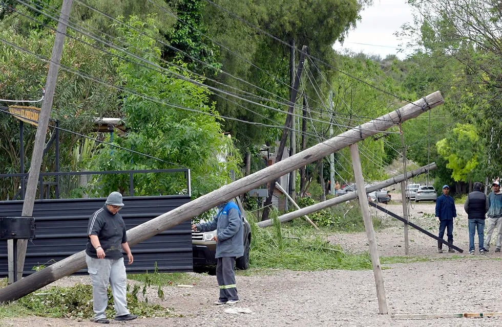En Las Heras, donde todavía hay vecinos sin servicio, el Zonda derribó 600 postes de luz y 495 árboles. | Foto: Orlando Pelichotti / Los Andes