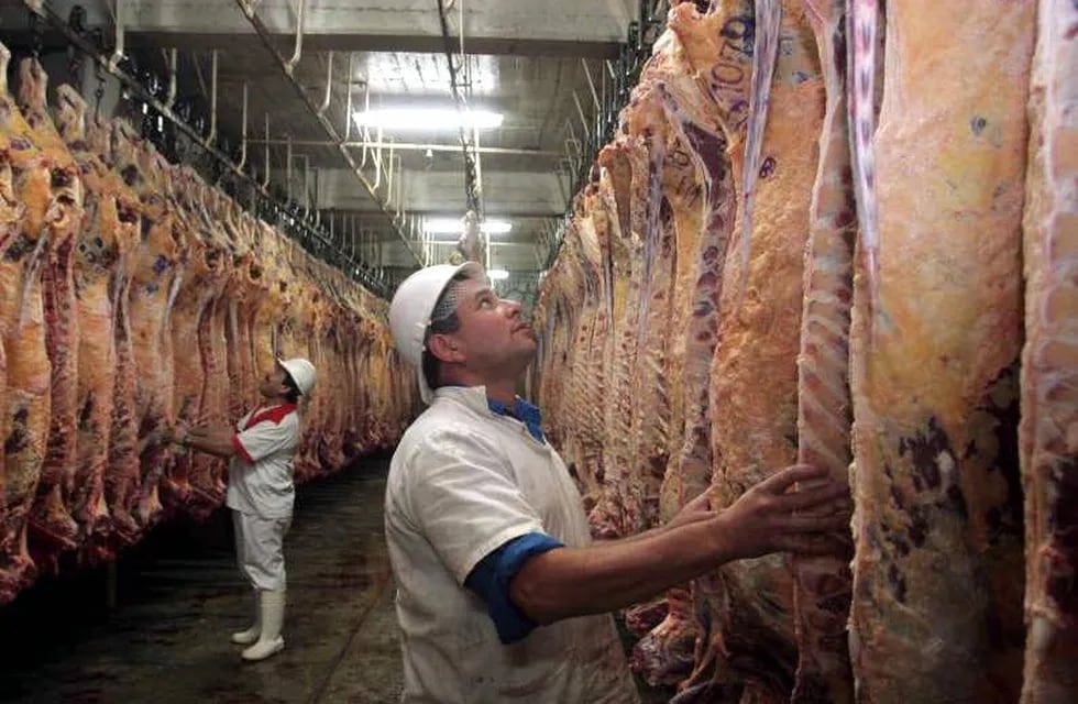 El consumidor argentino sigue consumiendo 51 kilos per cápita anual de carne bovina.