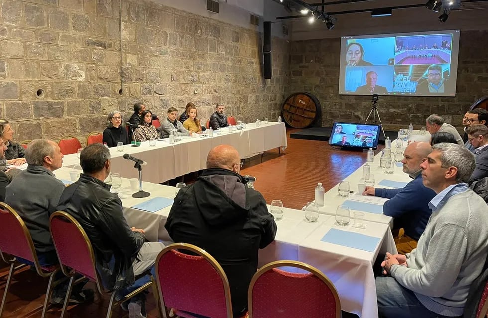 Referentes se reunieron en la Enoteca y de forma virtual para dar forma a la agenda de la Semana del Bonarda. Foto: Municipalidad de San Martín.